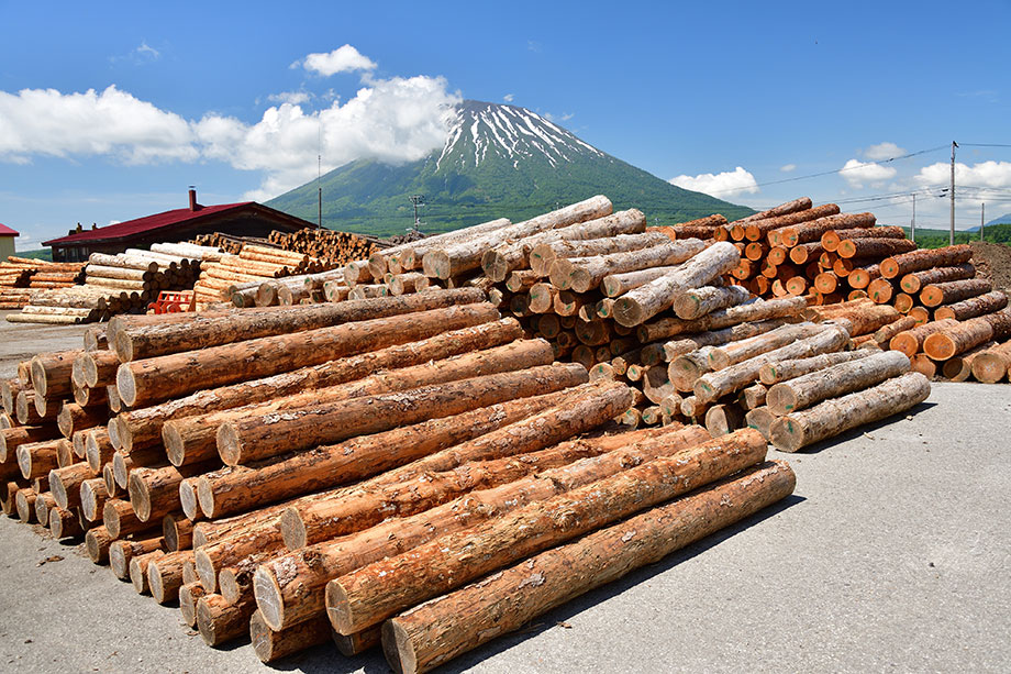大川家具が知られてない理由